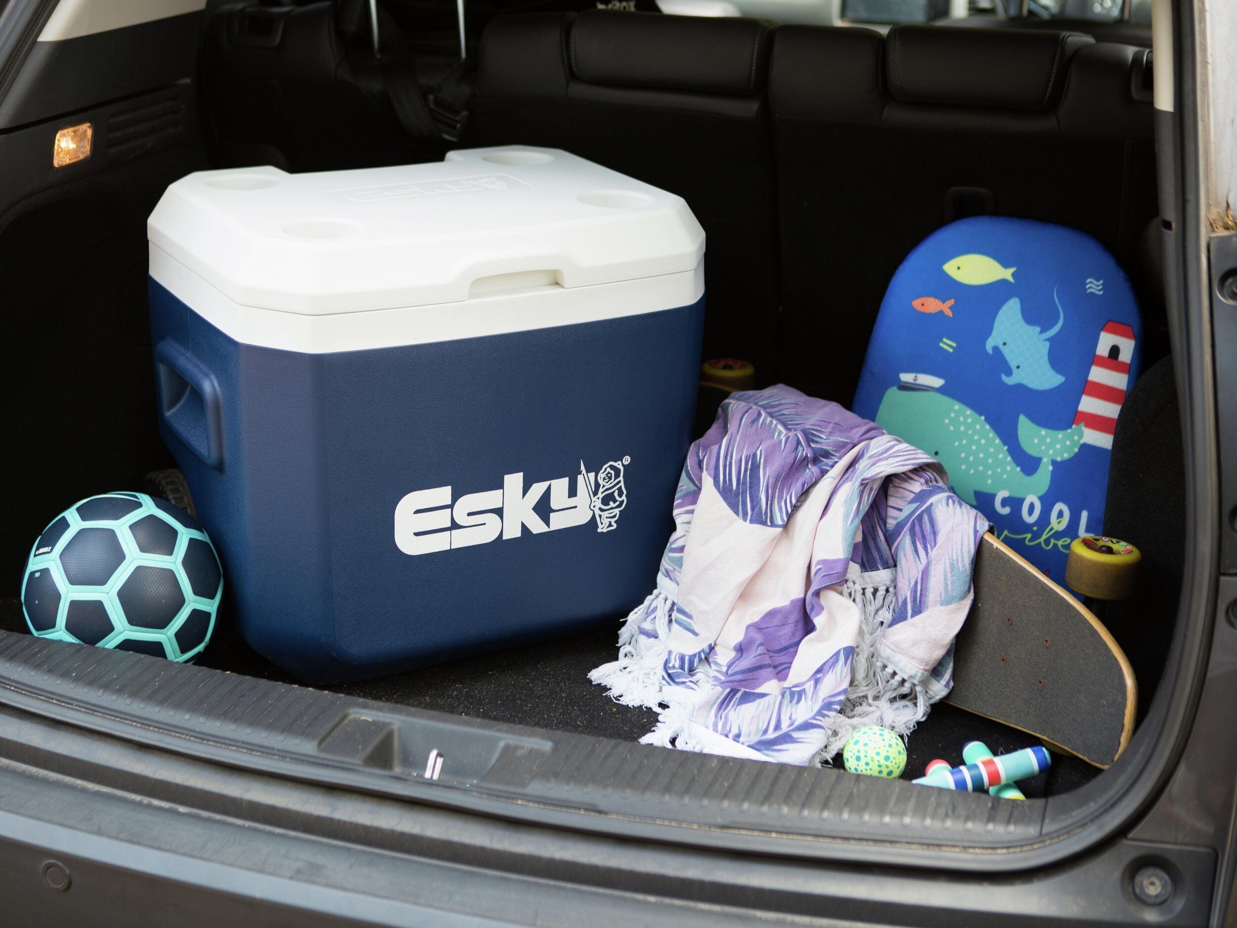 Esky in back of a car