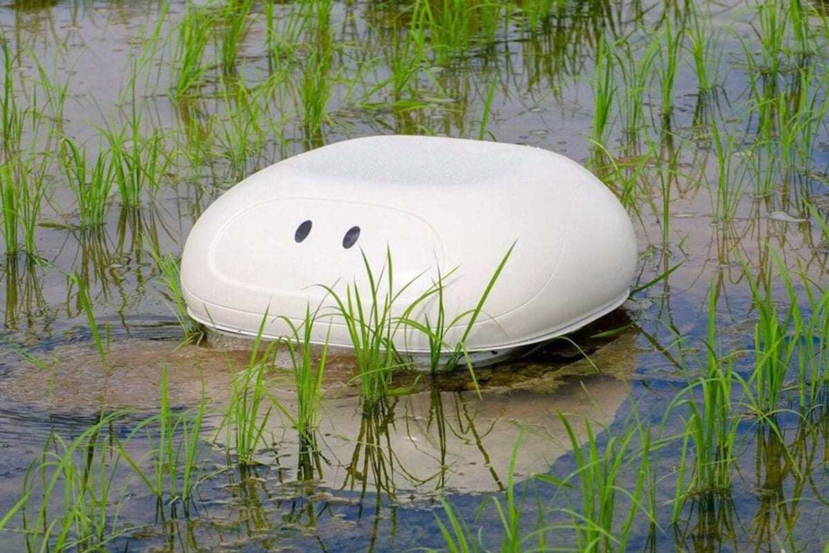 Robot ‘duck’ source: techexplorist.com