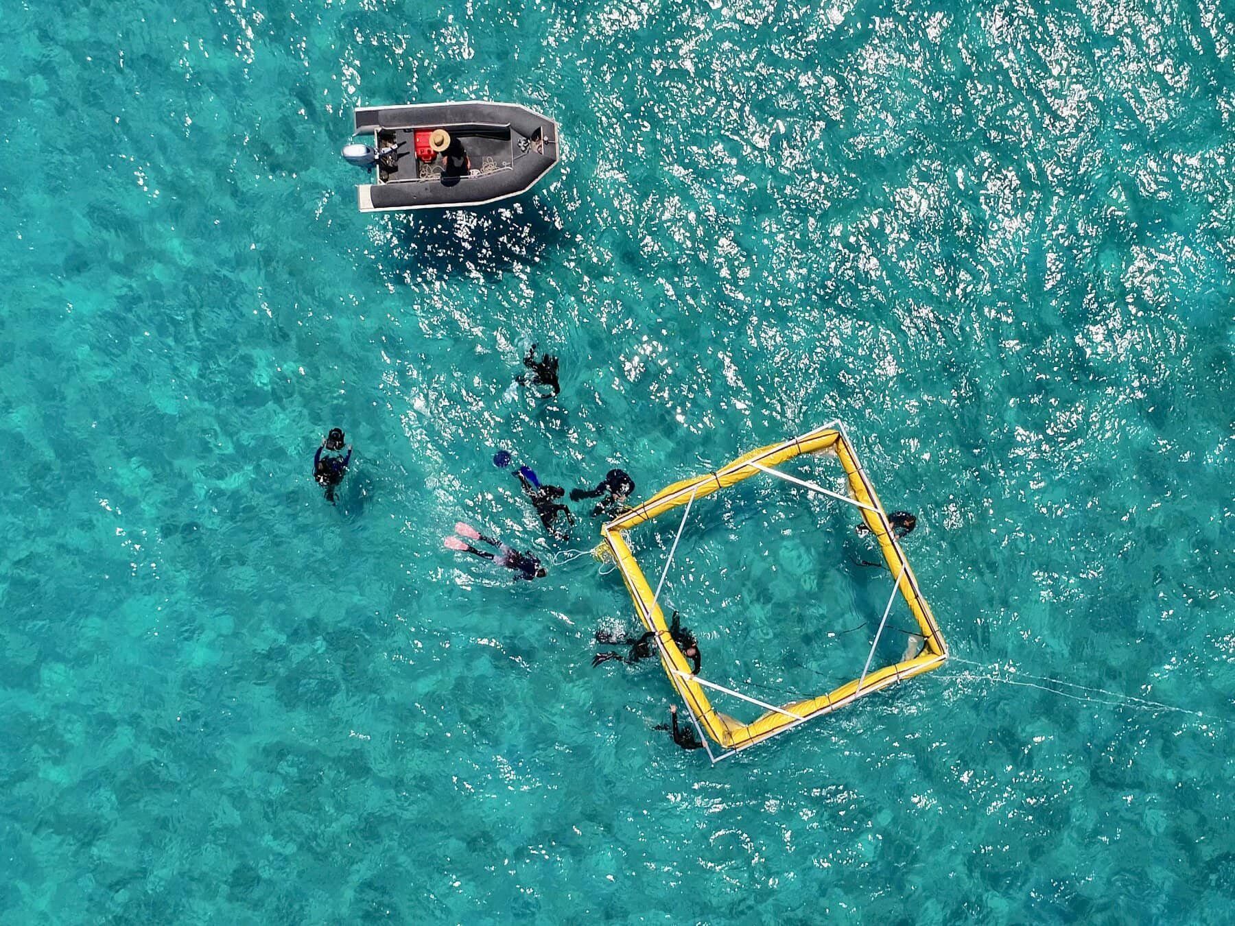 Barrier reef researchers source: qut.edu.au