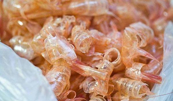 Chitin waste source: yummymummyclub.ca
